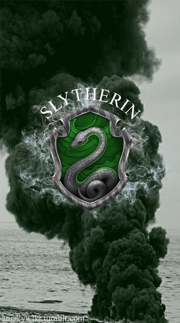 Book Sonserina- Slytherin 