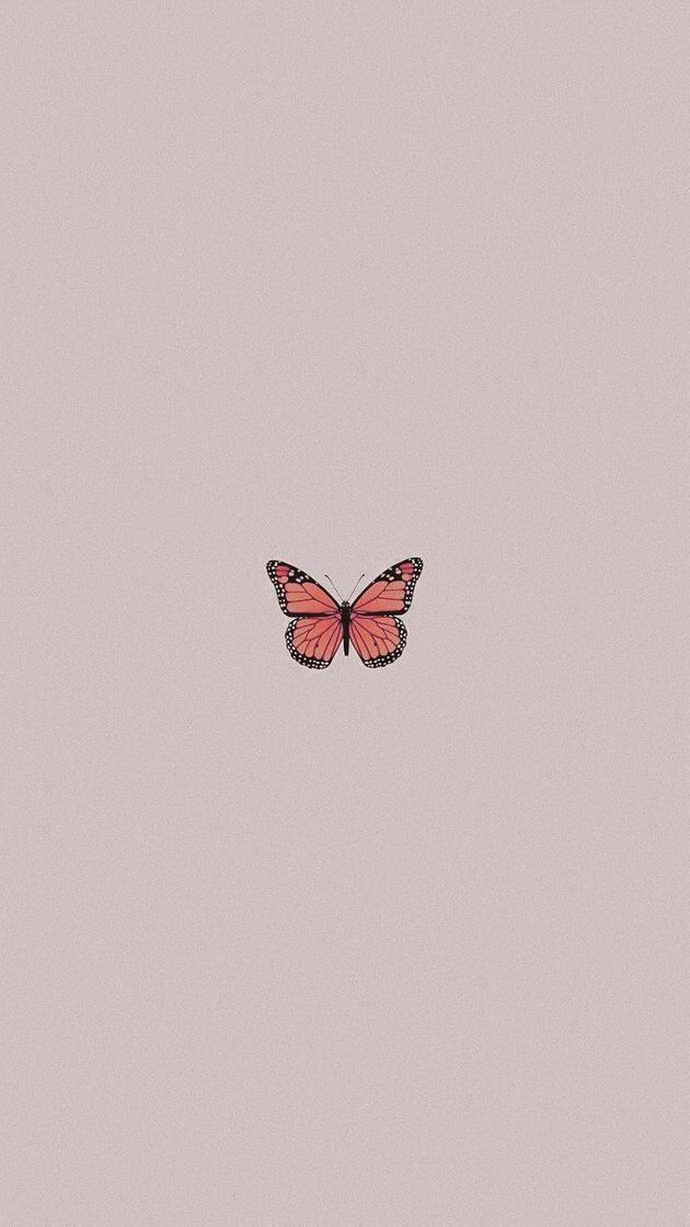 Social wallpapers