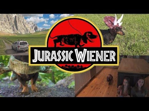 Ep. 1: "Jurassic Wiener" - Dachshund Dinosaurs! - YouTube