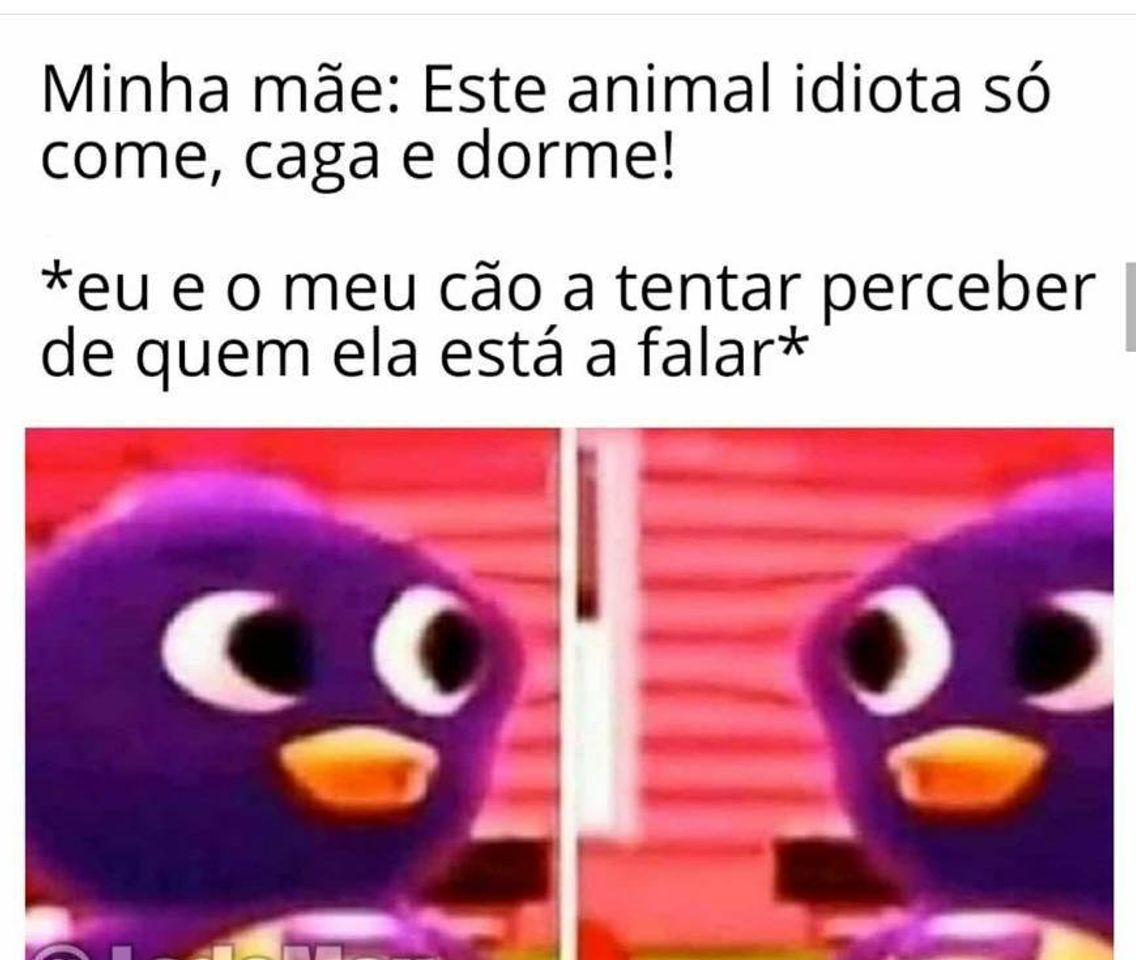 Moda Mães 😅