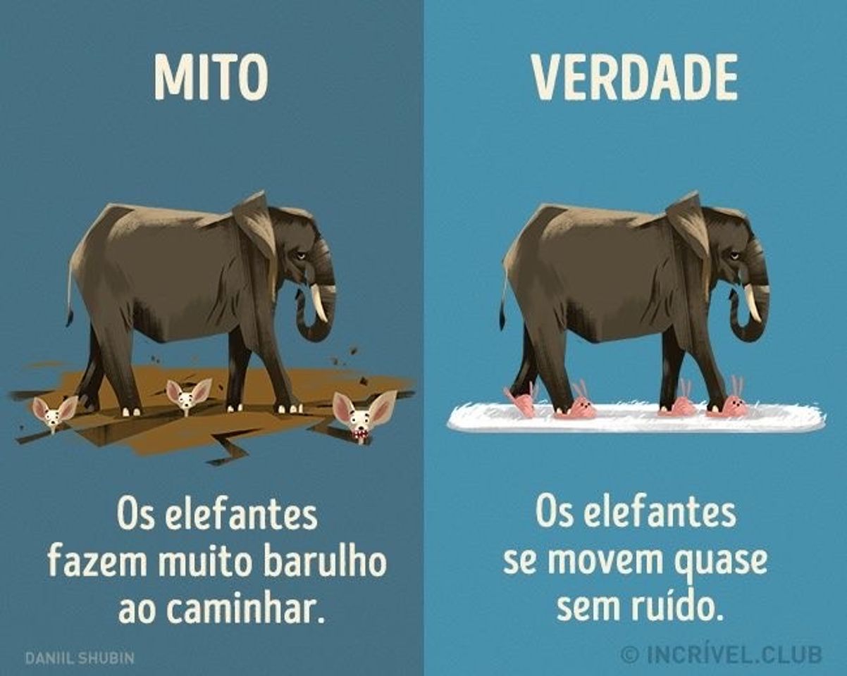 Moda Mito x Verdade