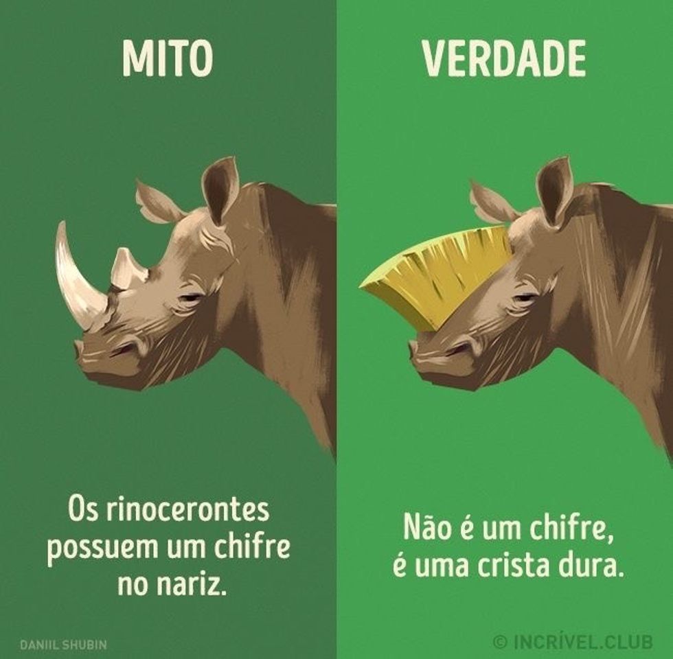 Moda Mito x Verdade 