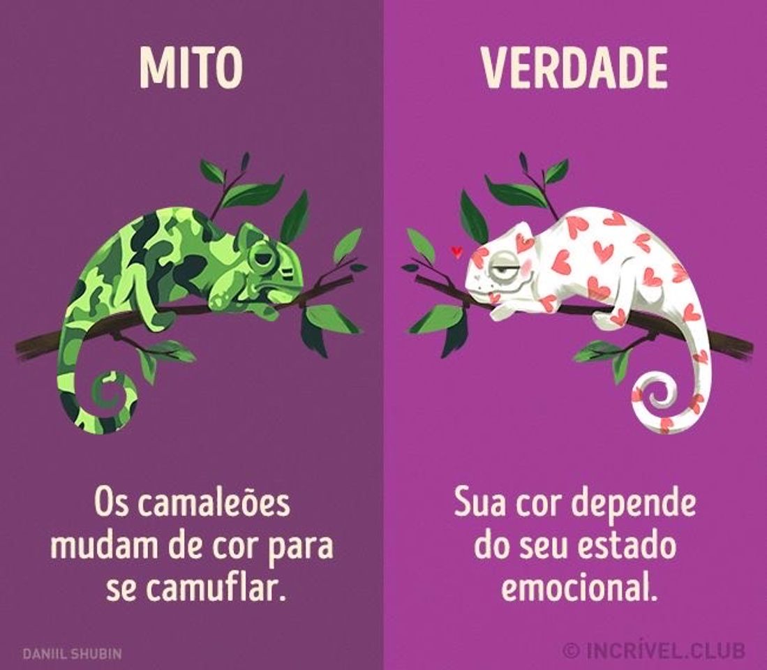 Moda Mito x Verdade 