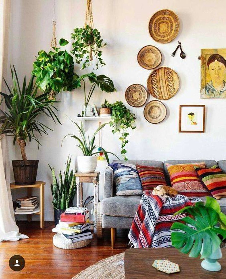 Moda •DECORAÇÃO COM PLANTAS•