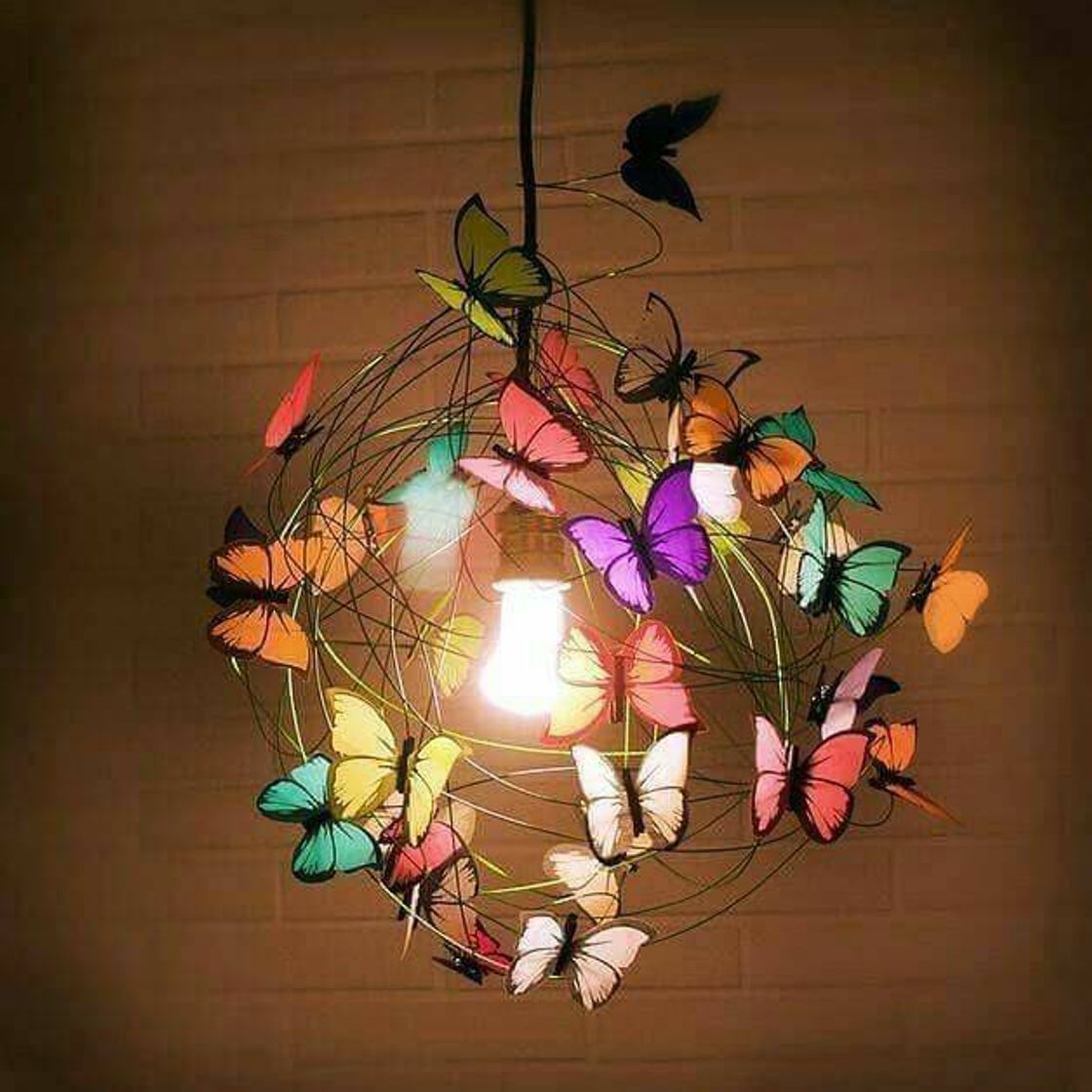 Fashion room decoration- butterflies