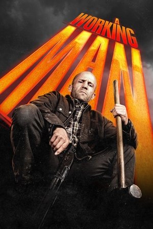 Movie A Working Man