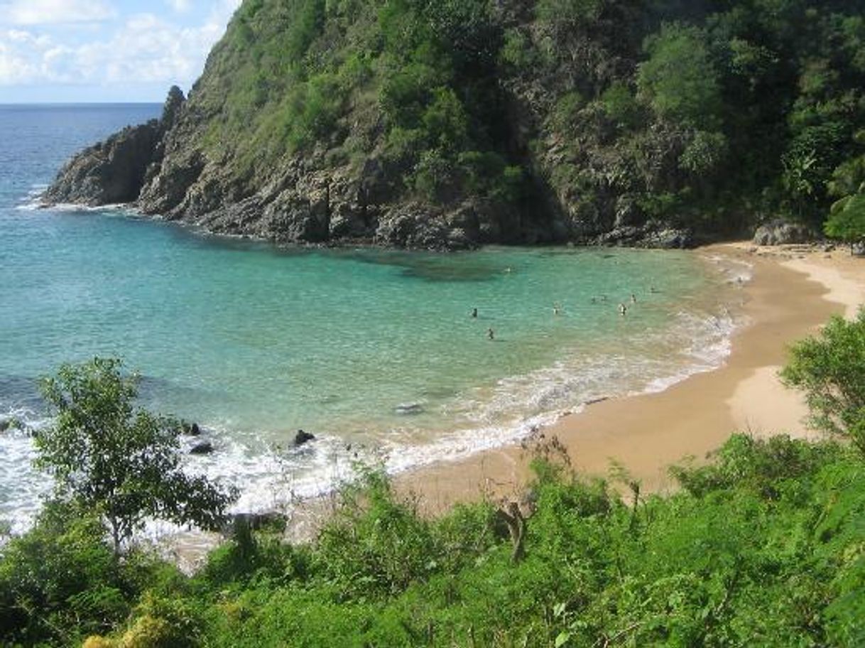 Lugar Praia do Cachorro