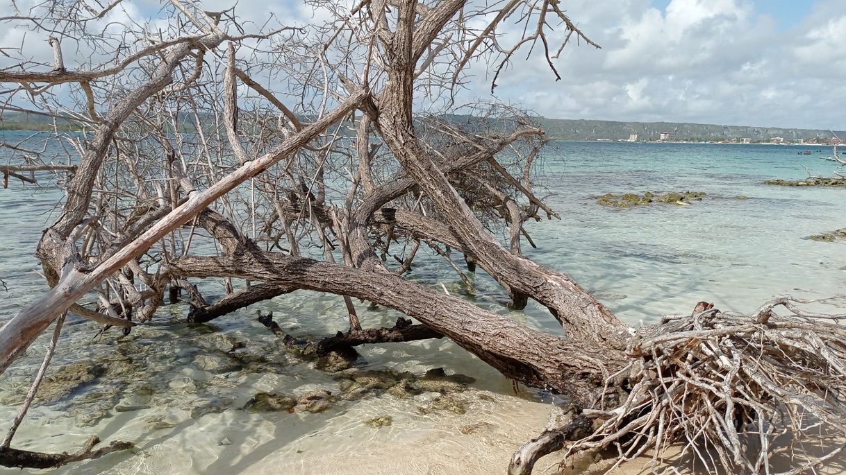 Lugares Cayo Muerto