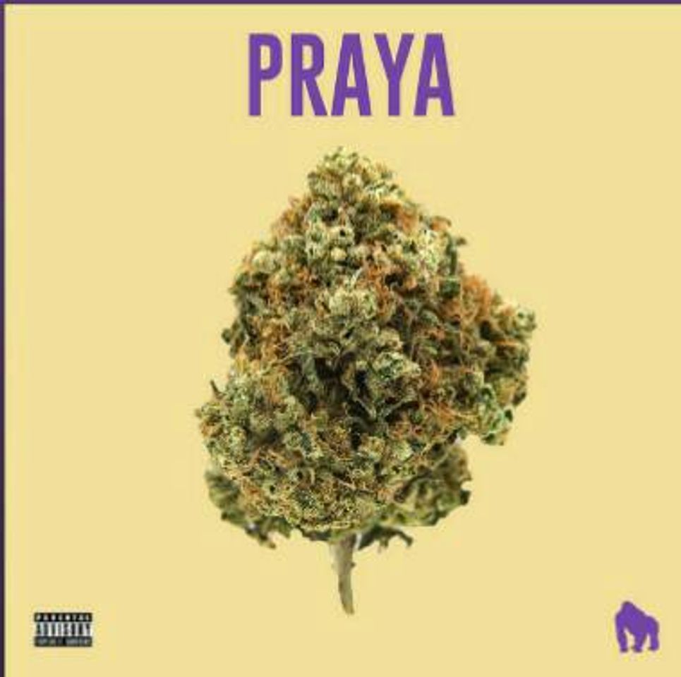 Music PRAYA