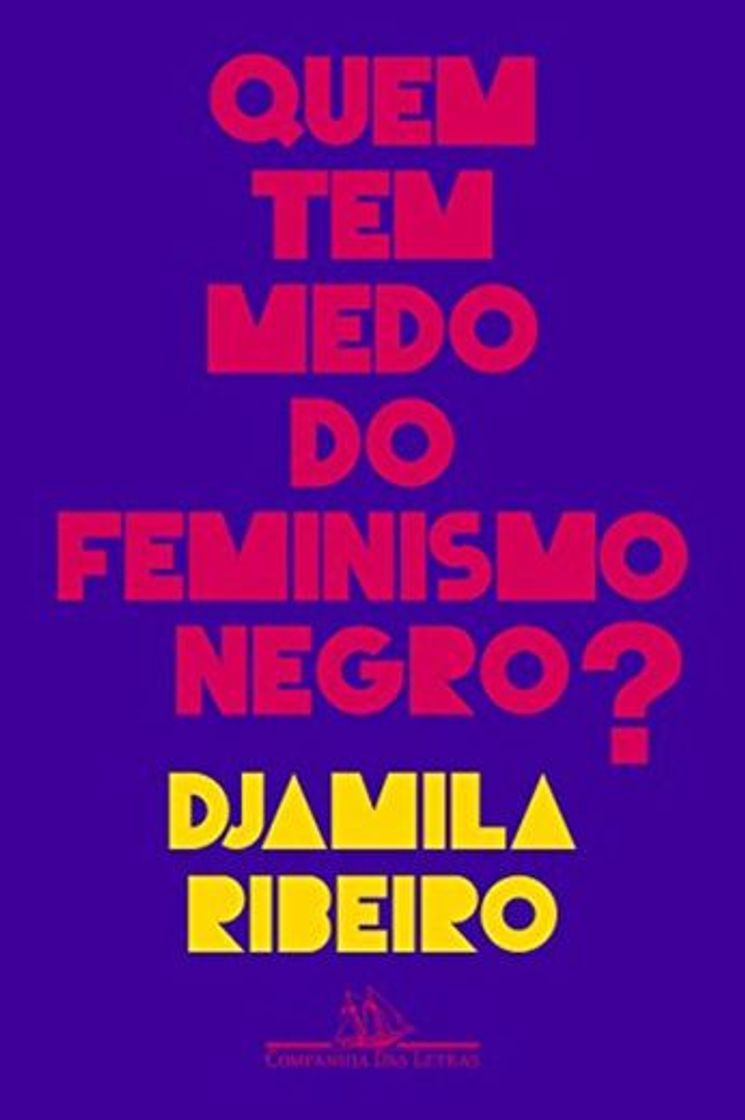 Libro Quem Tem Medo do Feminismo Negro?