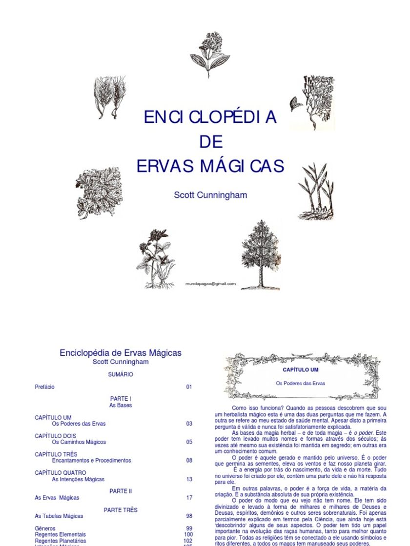 Fashion PDF: Enciclopédia das ervas mágicas