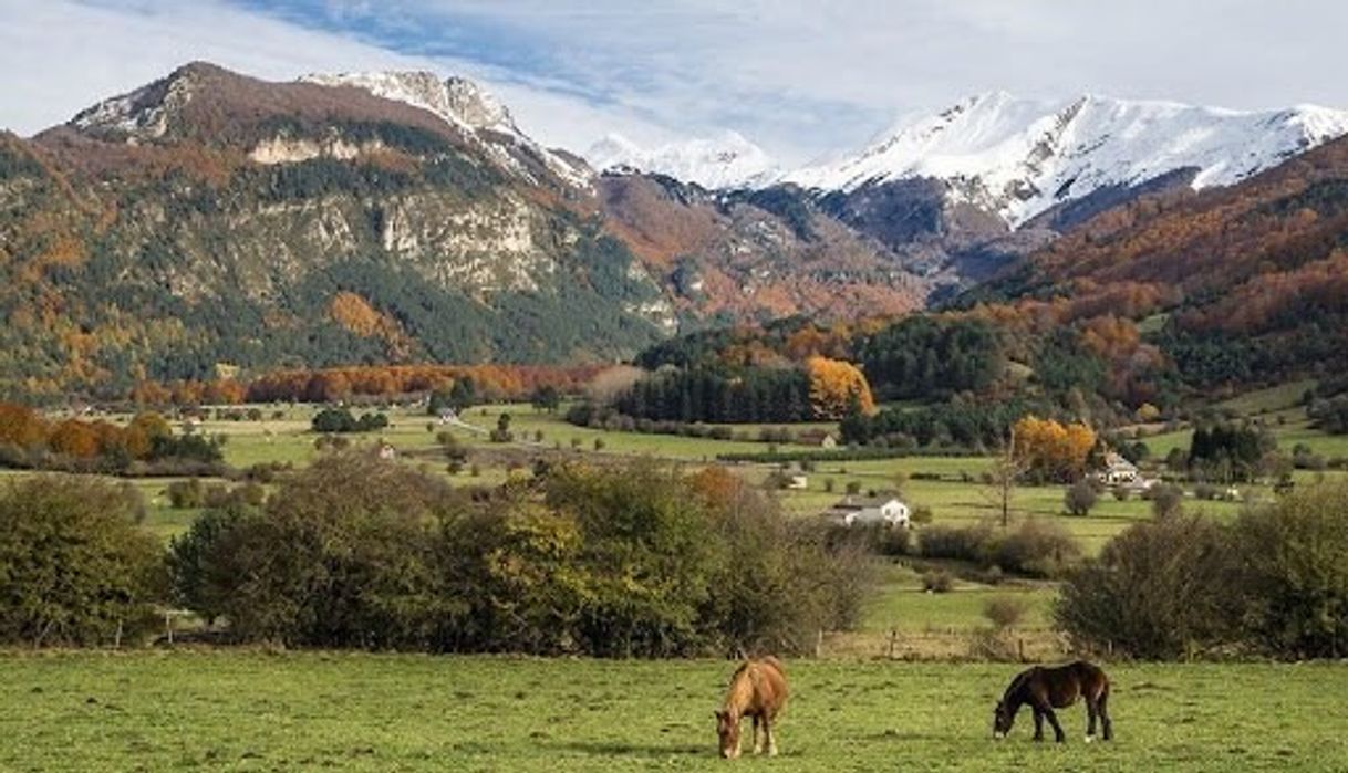 Lugares Valle del Roncal eski eskola