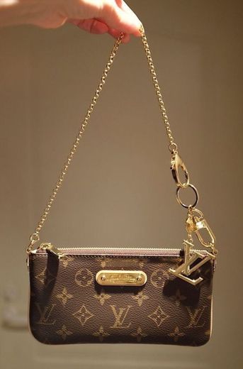 Louis Vuitton bag