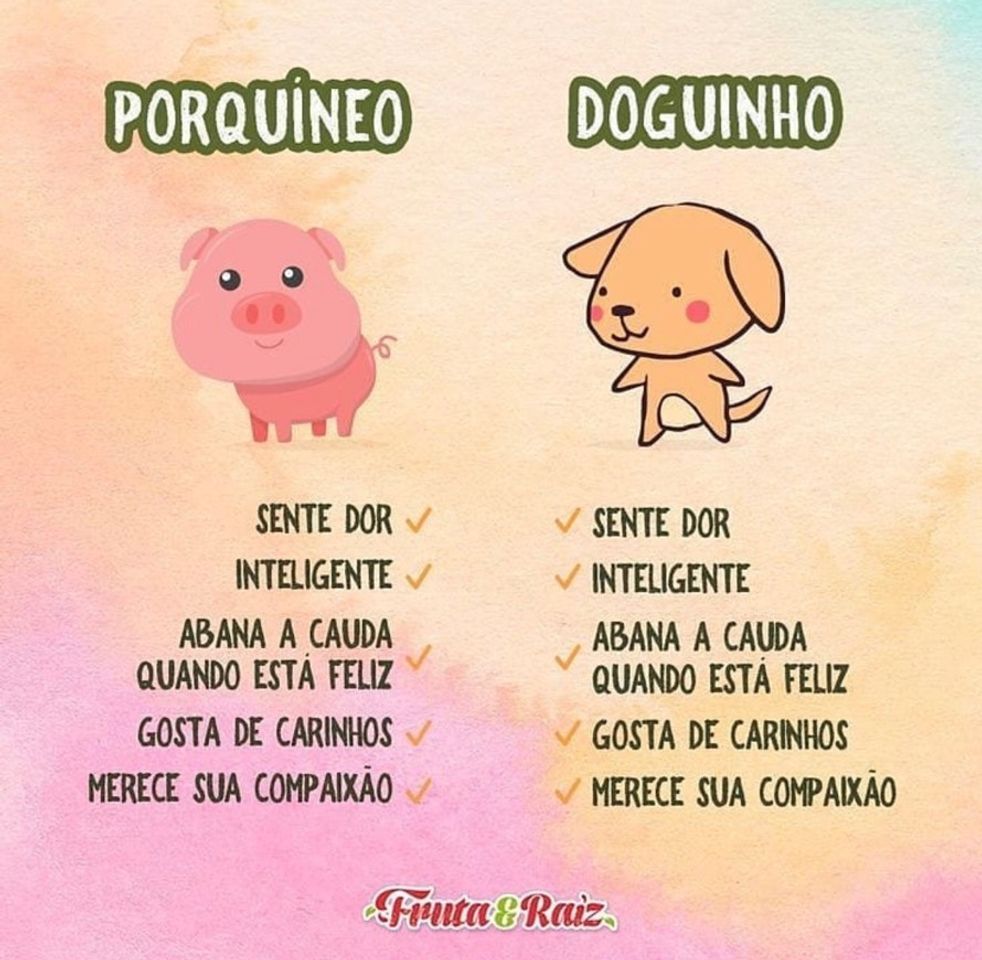 Moda 🐷❤️🐶