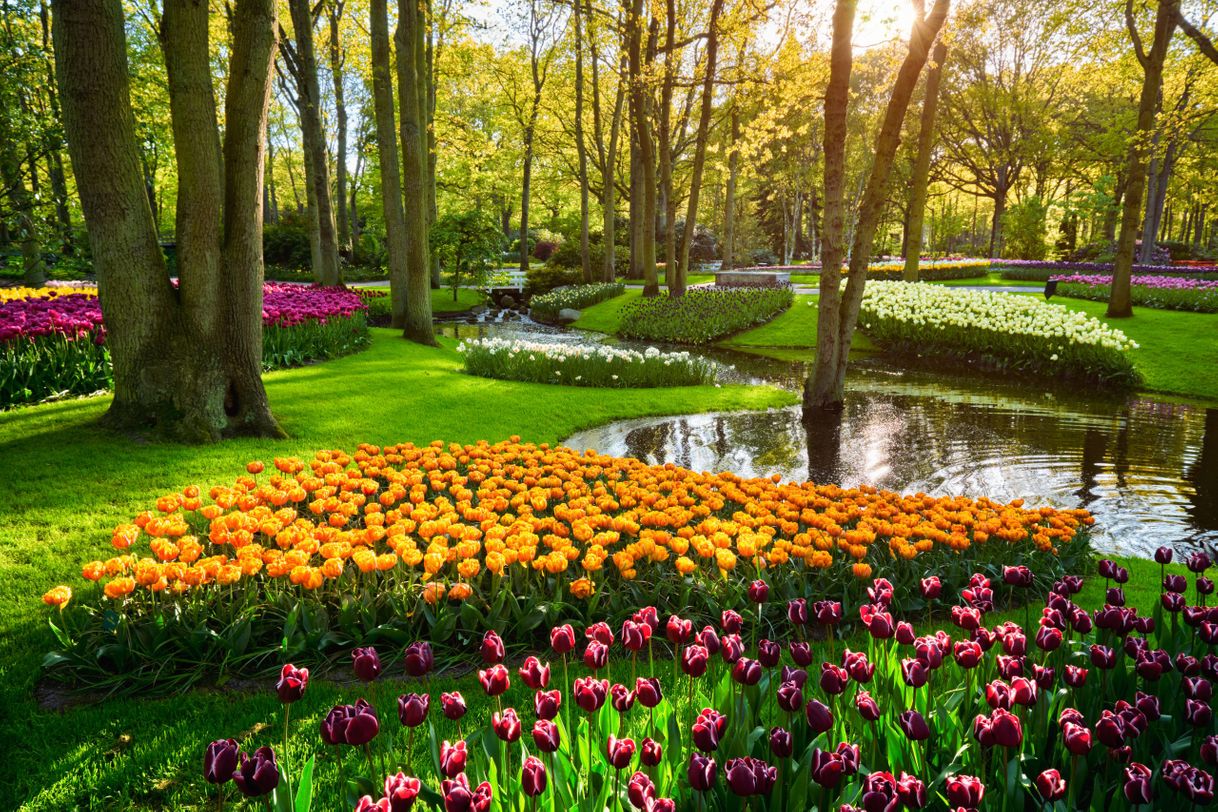 Moda Keukenhof