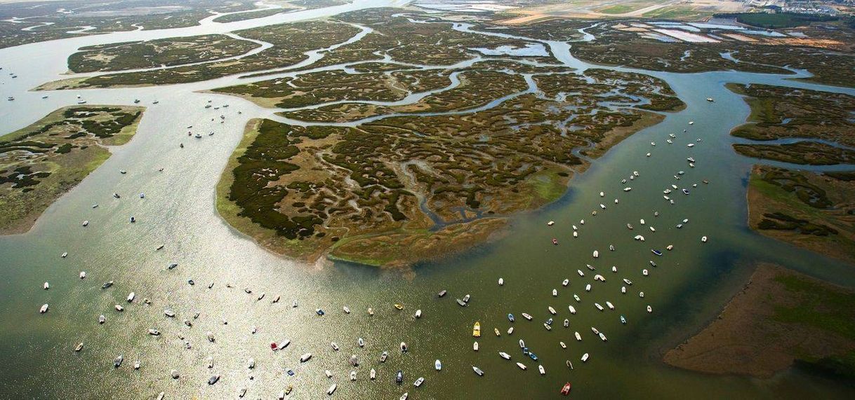 Lugar Ria Formosa Natural Park