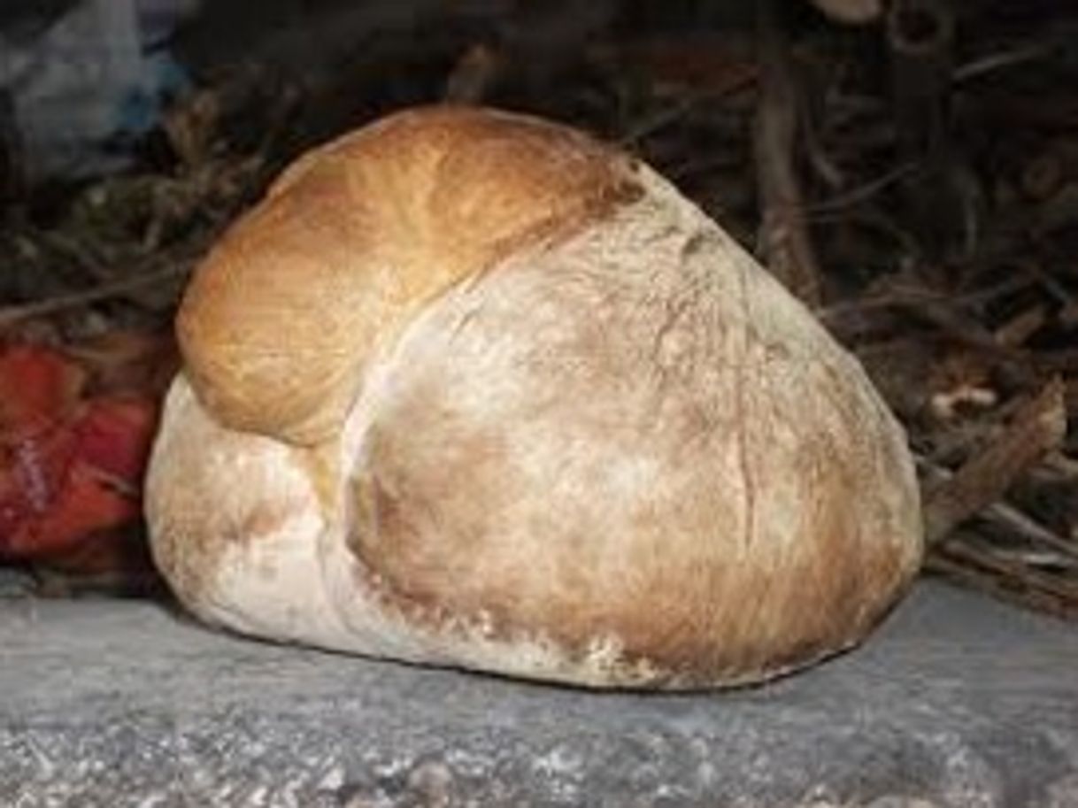 Social Gastronomia Típica | Typical Gastronomy - Parque Temático da ...