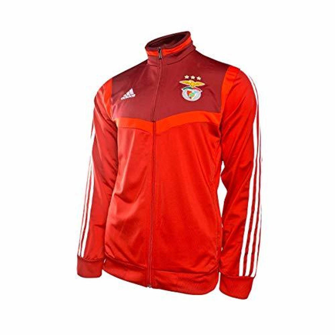 Social adidas - SL Benfica -  Casaco Tiro Pre 19/20