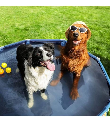 FEANDREA Piscina Perros