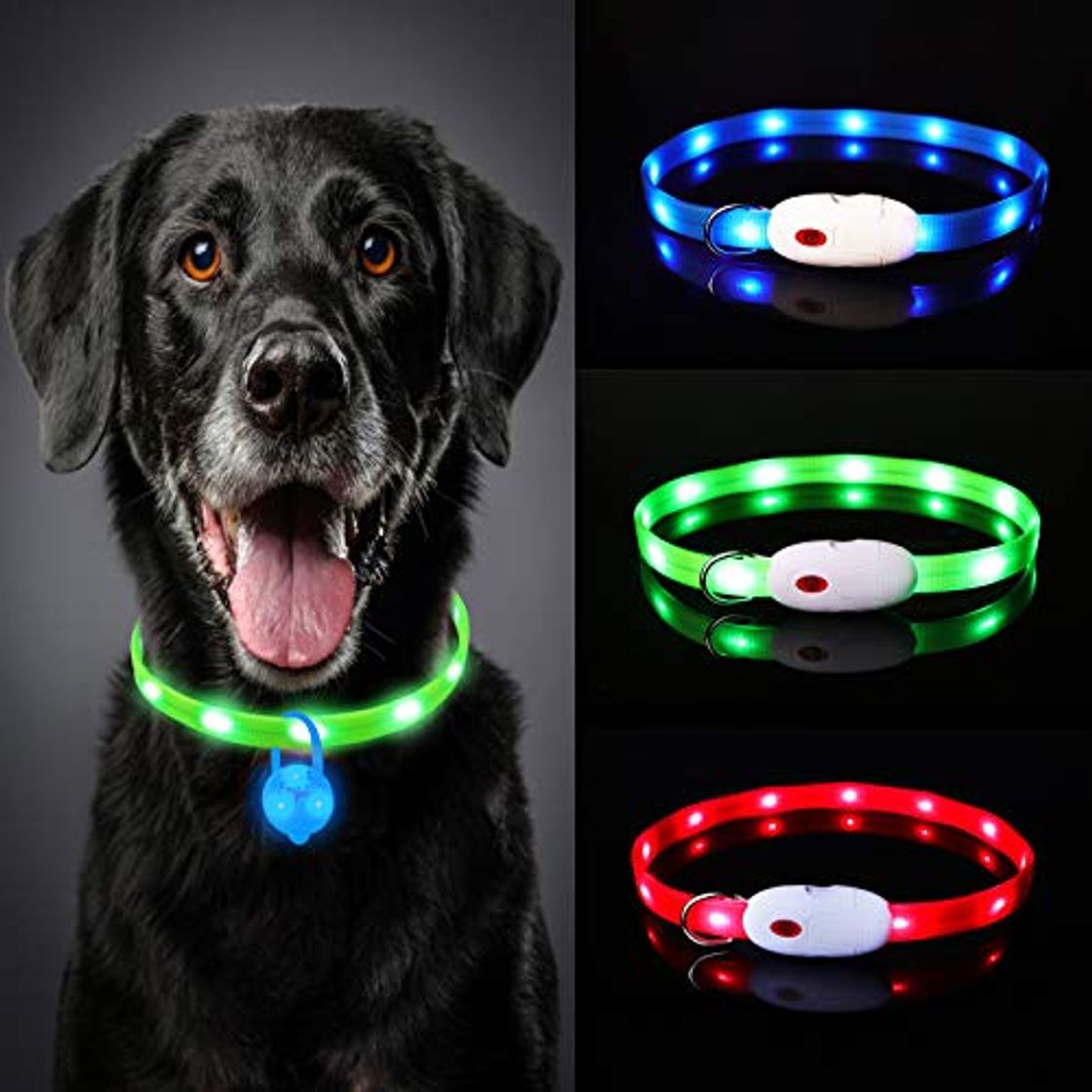 Producto Oladwolf Collar Luminoso Perro