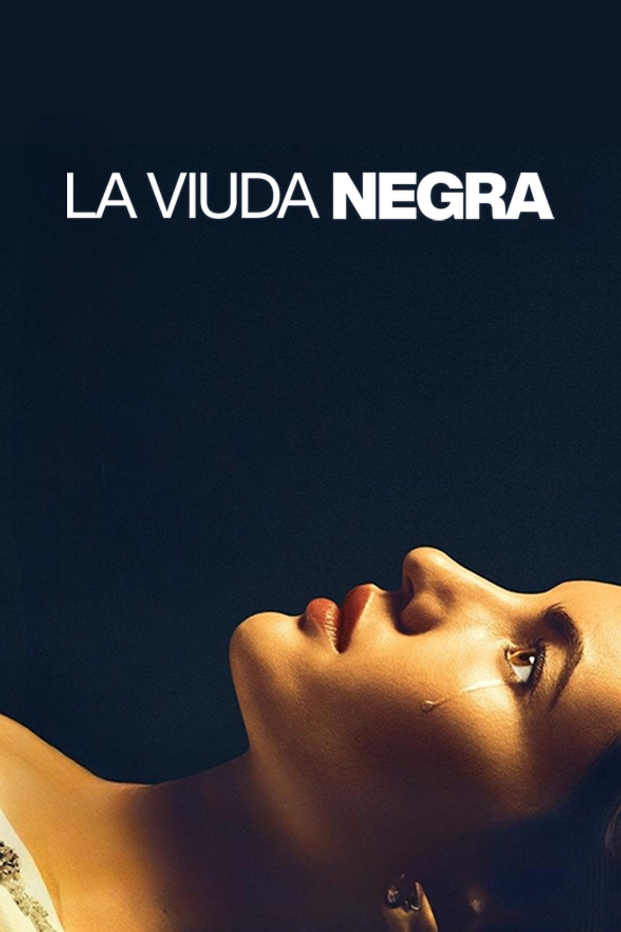 Movie La viuda negra
