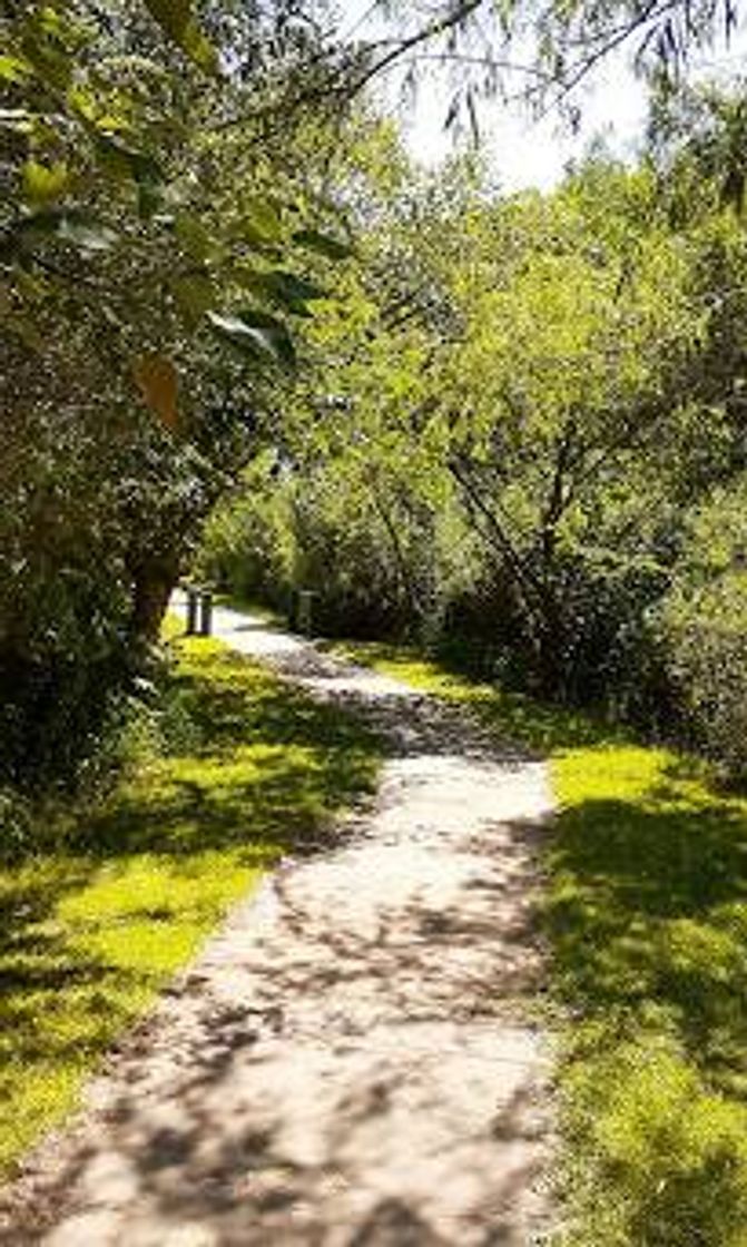 Lugares Parque Nacional Pre Delta