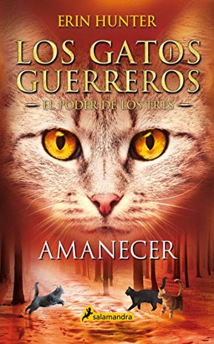 Book Amanecer (Los Gatos Guerreros