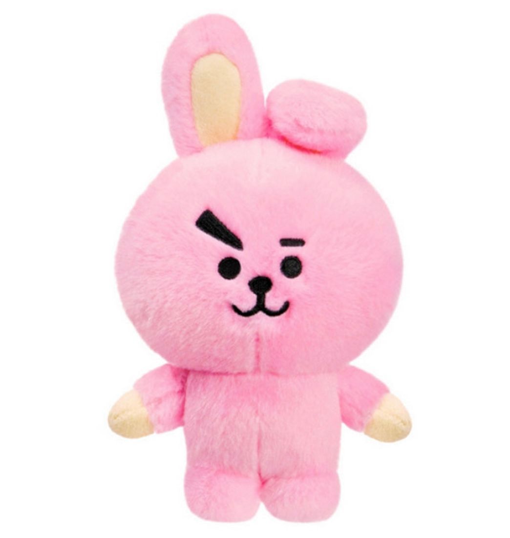 Moda BT21 Peluche Cooky | Double Project