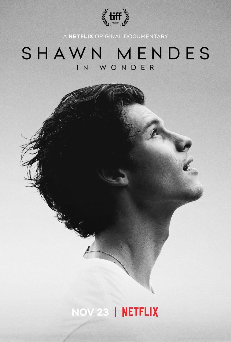 Movie Shawn Mendes: In Wonder