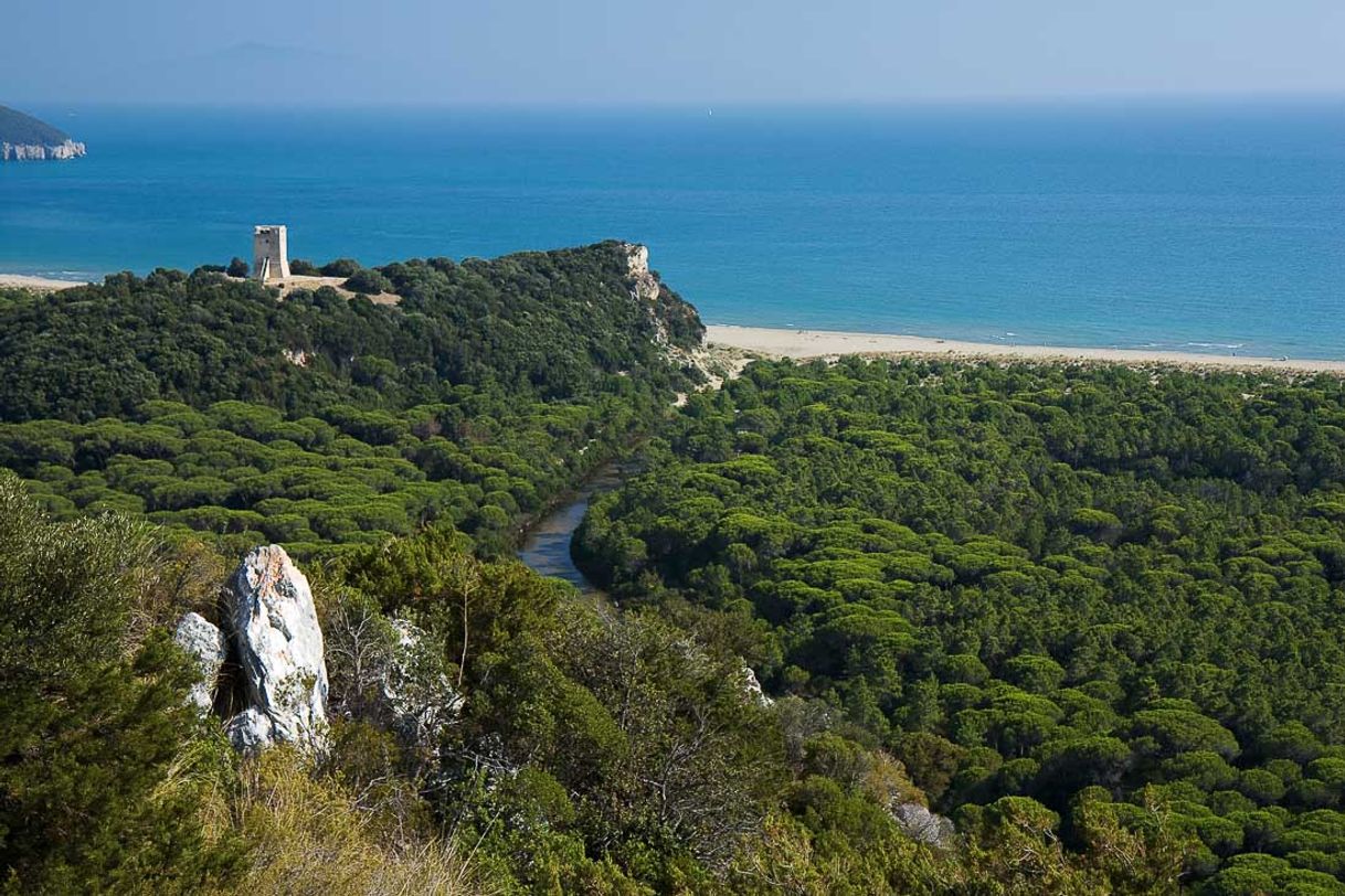 Place Parco naturale della Maremma