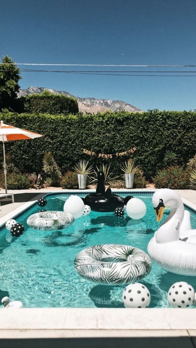 Social pool party 🏊‍♀️ 