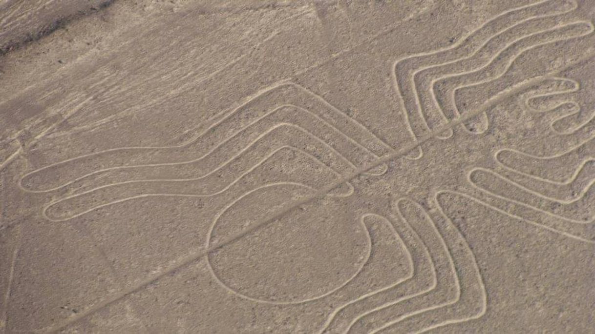 Restaurants Nazca