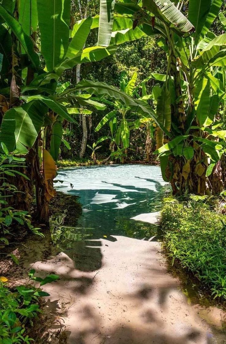 Lugar Jalapão - Tocantins ☀️🌴