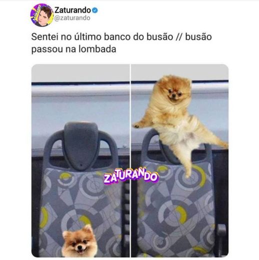 ➡️Memes Zaturando