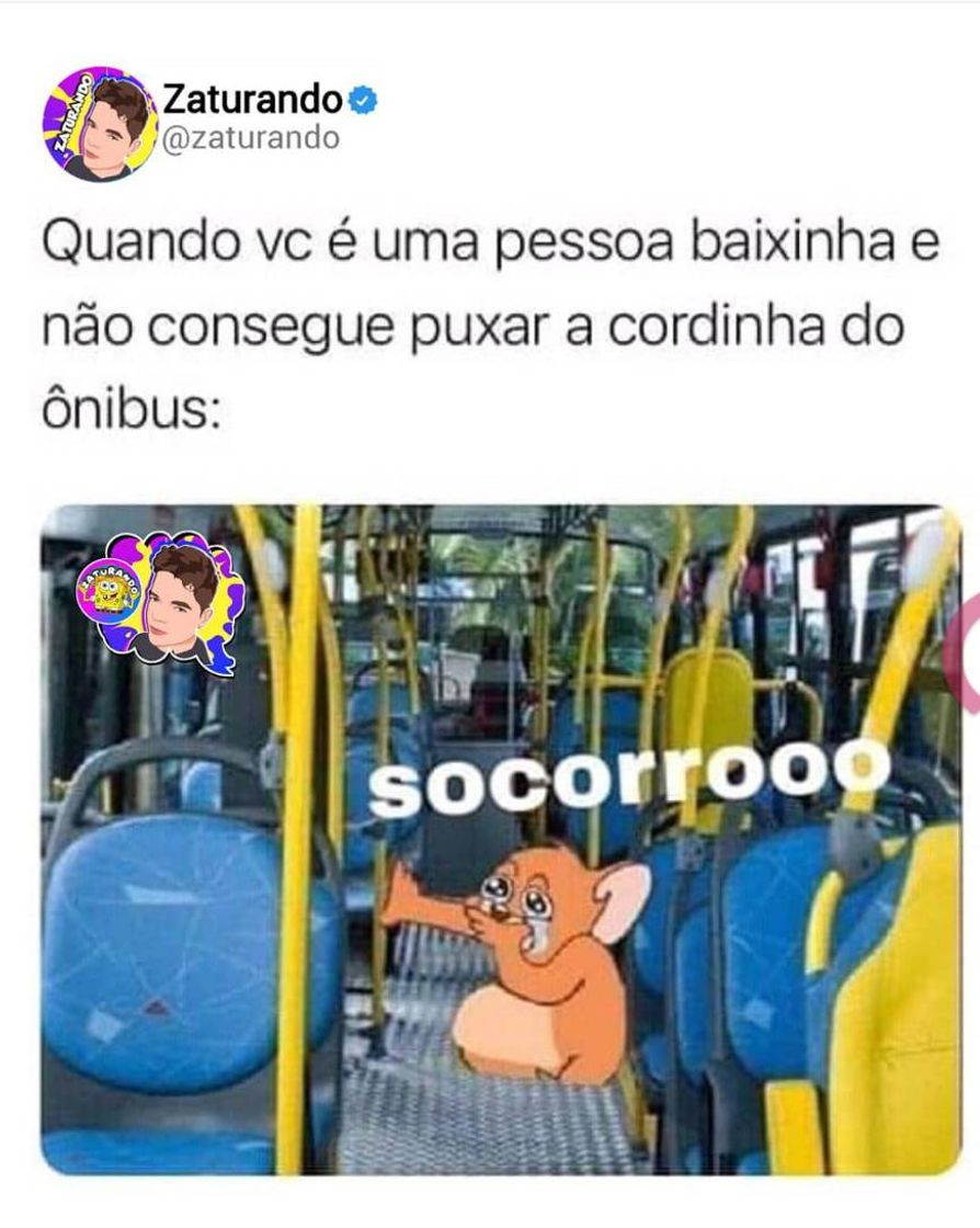 Social ➡️Memes Zaturando