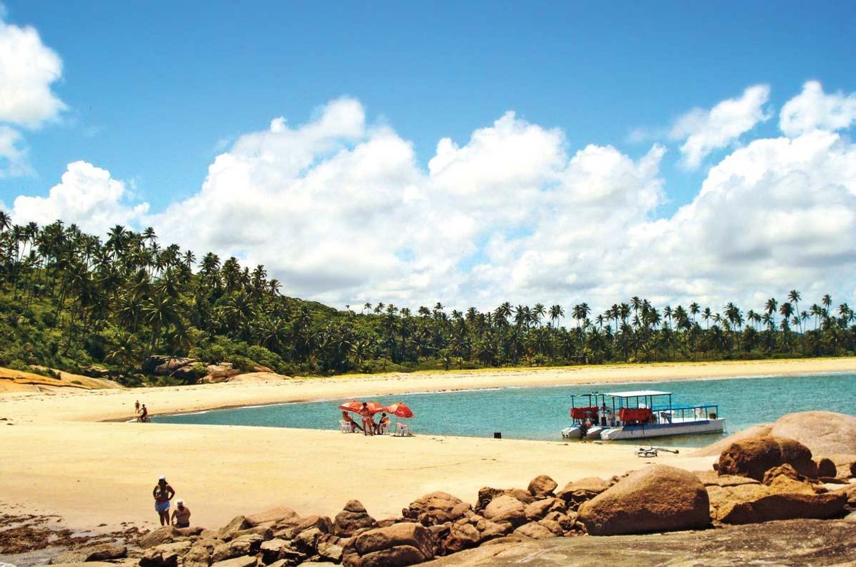 Lugar Praia dos Carneiros