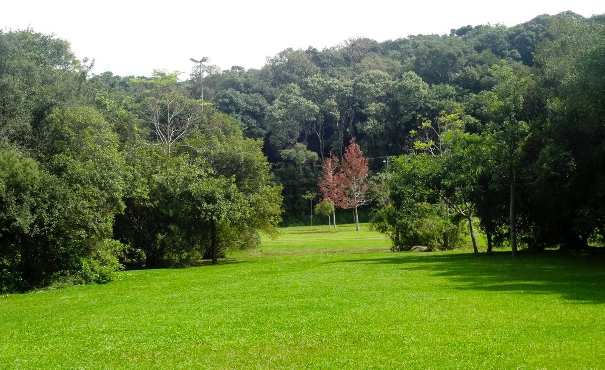 Lugar Parque Tingüi