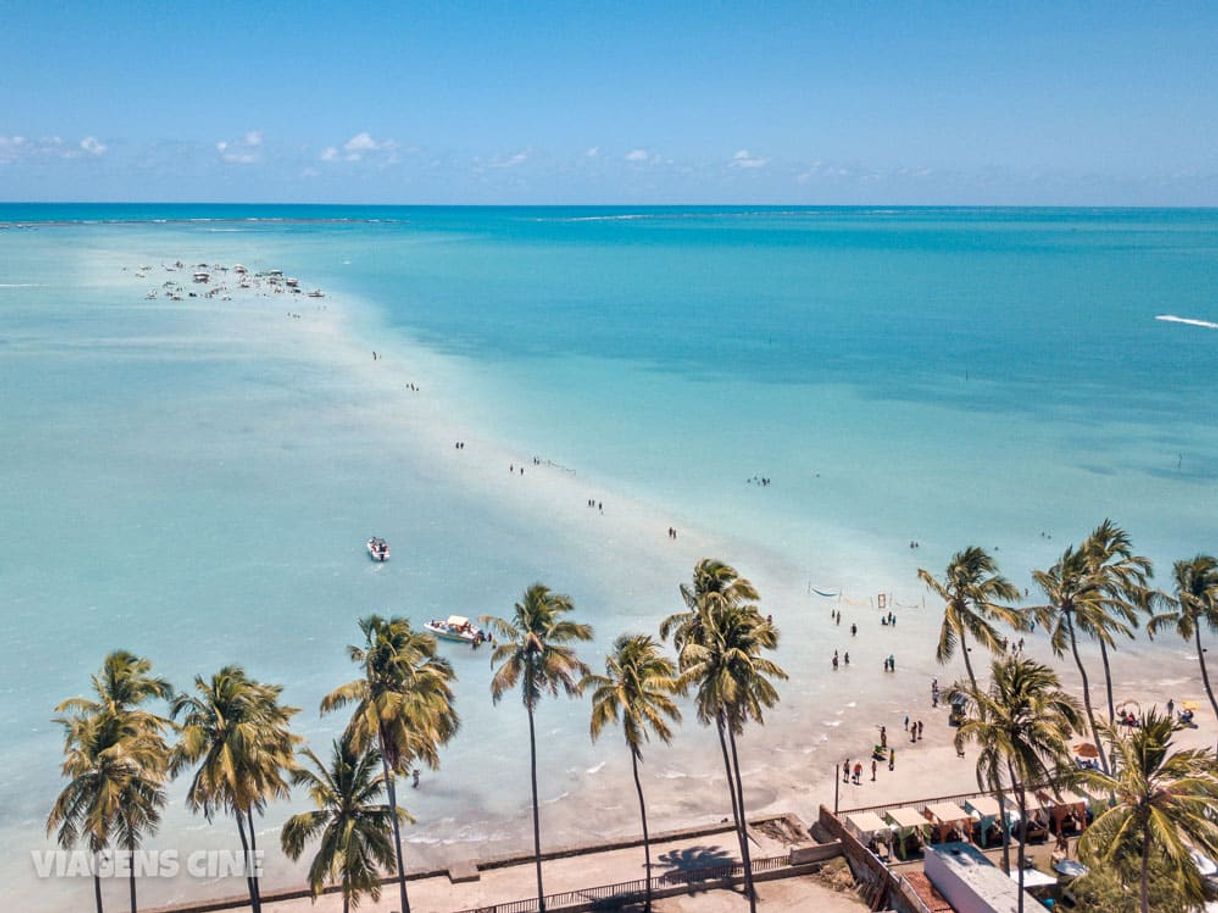 Lugar Praia de Maragogi