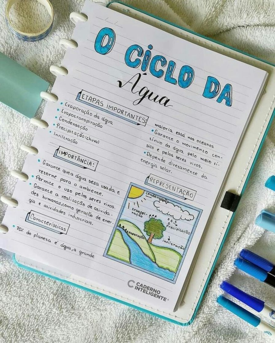 Fashion Ciclo da agua💧