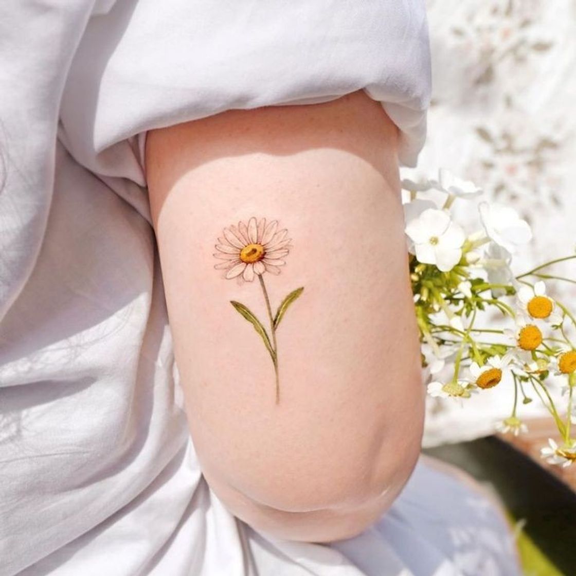 Moda Tatuagem de margarida 🌼