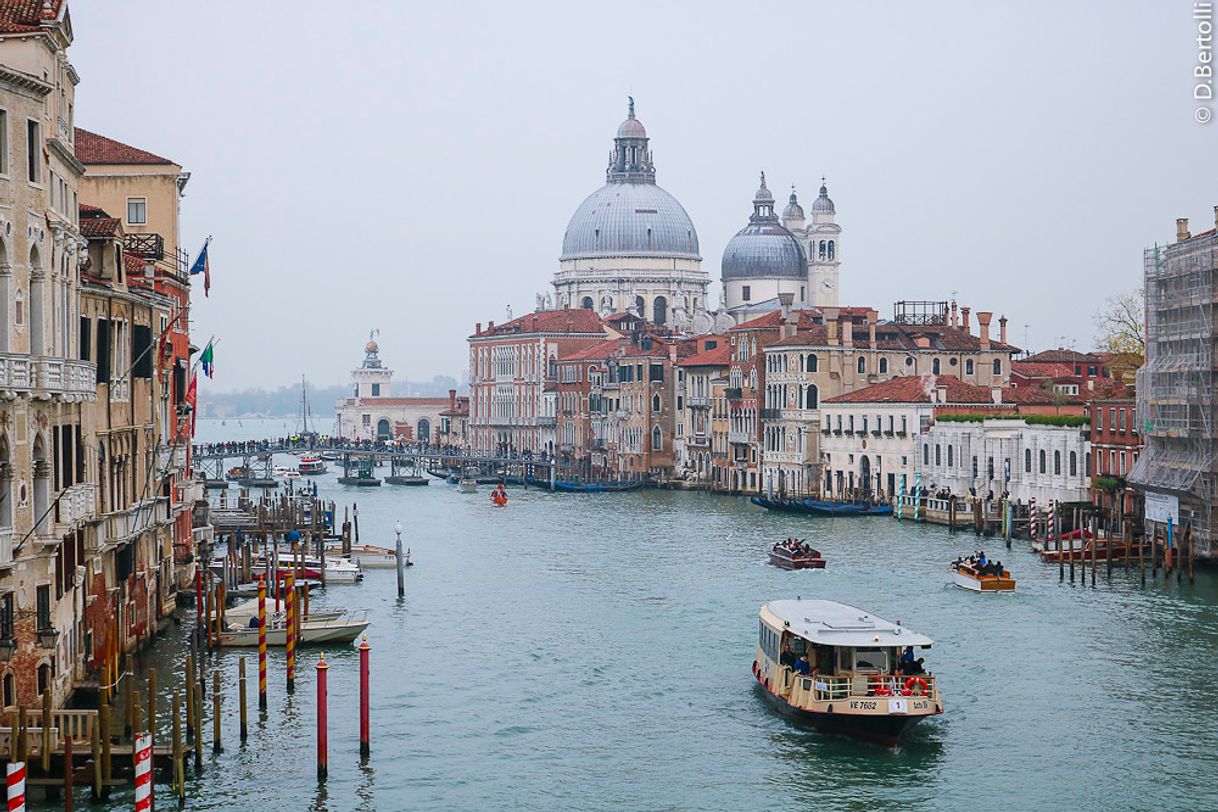 Place Venecia