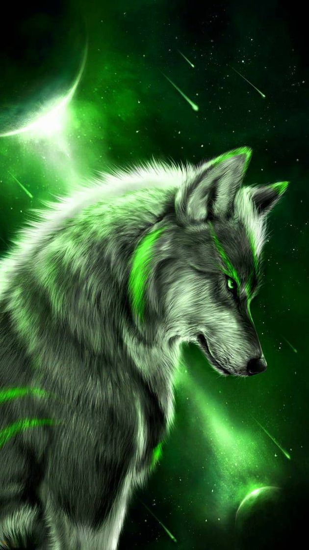 Social Wolf ღ