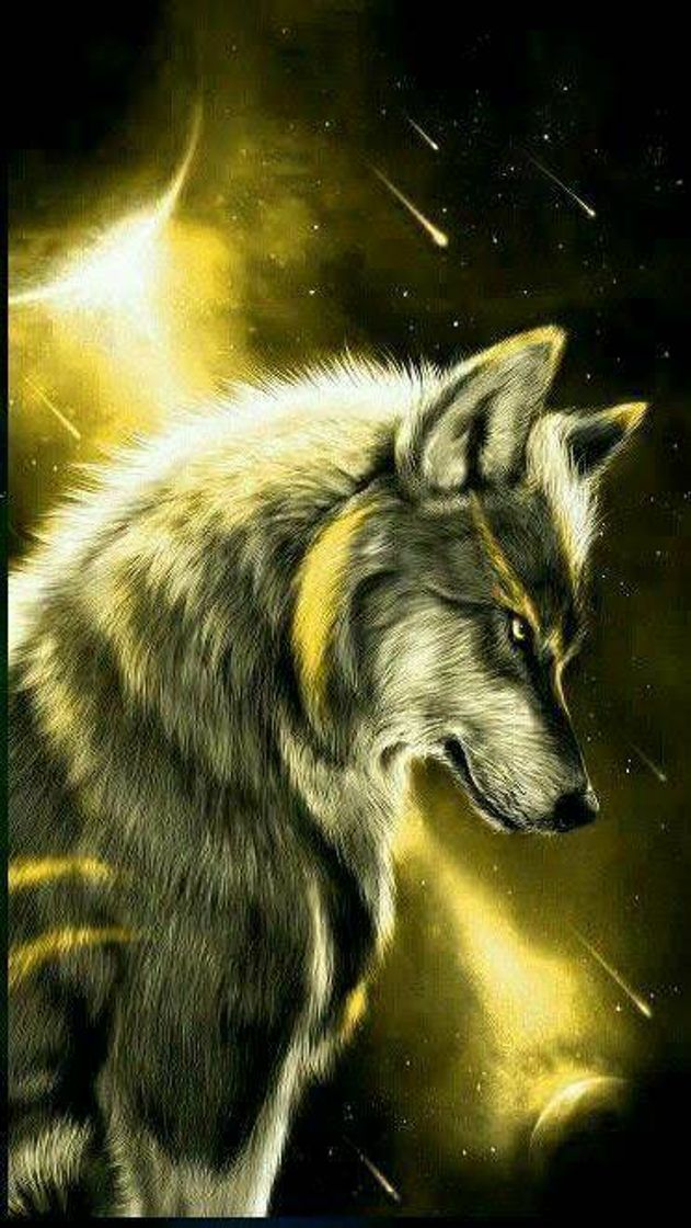 Social Solar Wolf 🌅