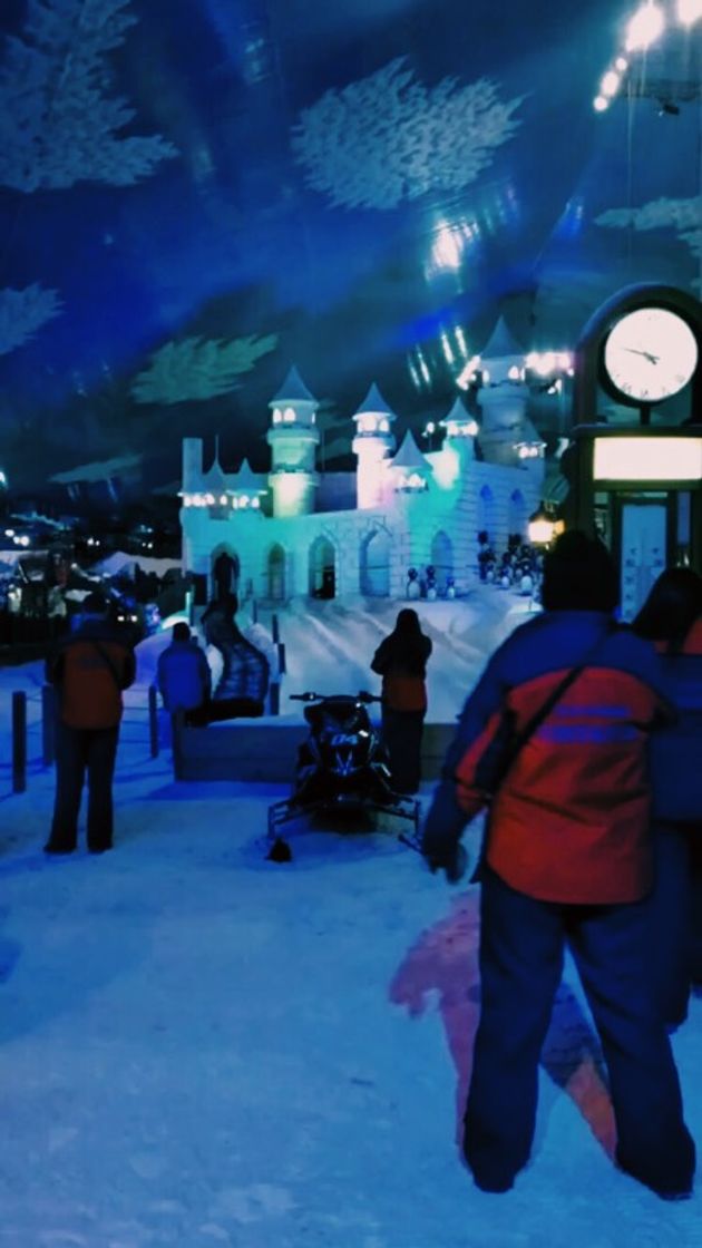 Lugar Snowland