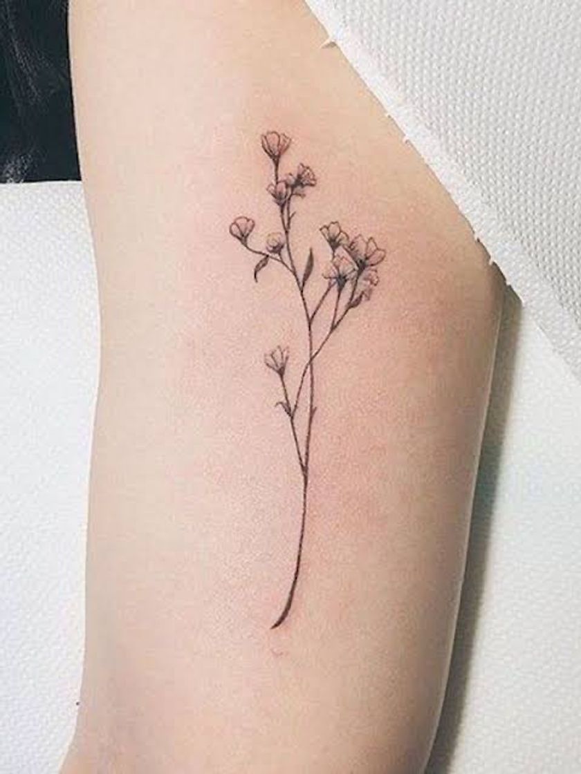 Moda Tatuagem feminina 