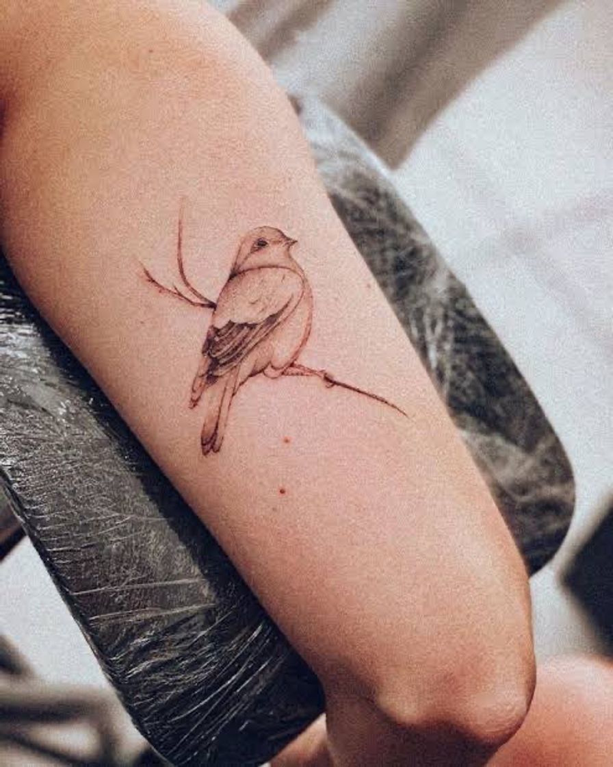 Fashion Tatuagem de passarinho 