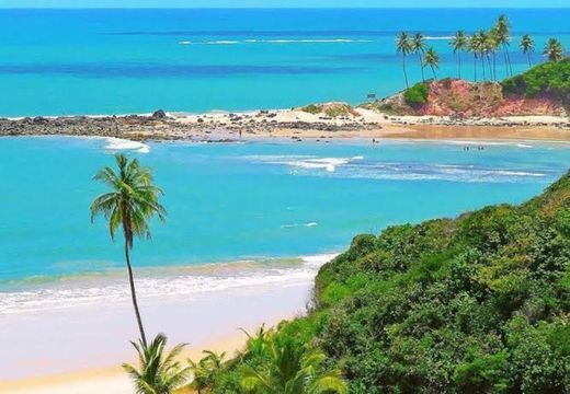 Praia do nordeste 