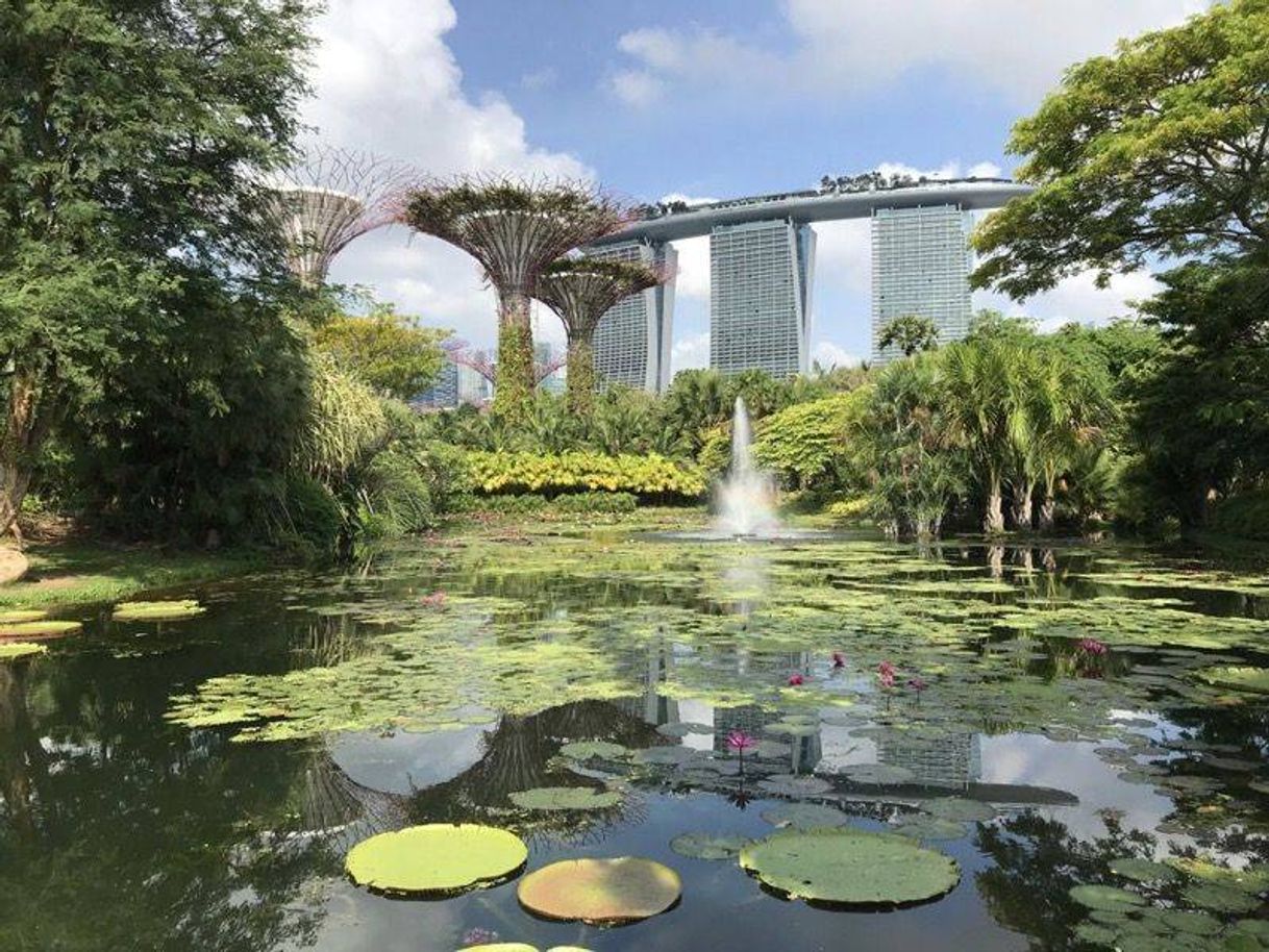 Place Gardens by the Bay