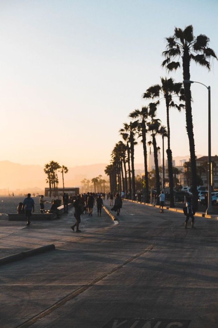 Lugar Santa Monica Pier