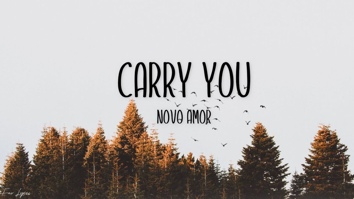 Music Novo Amor - Carry You (official video) - YouTube